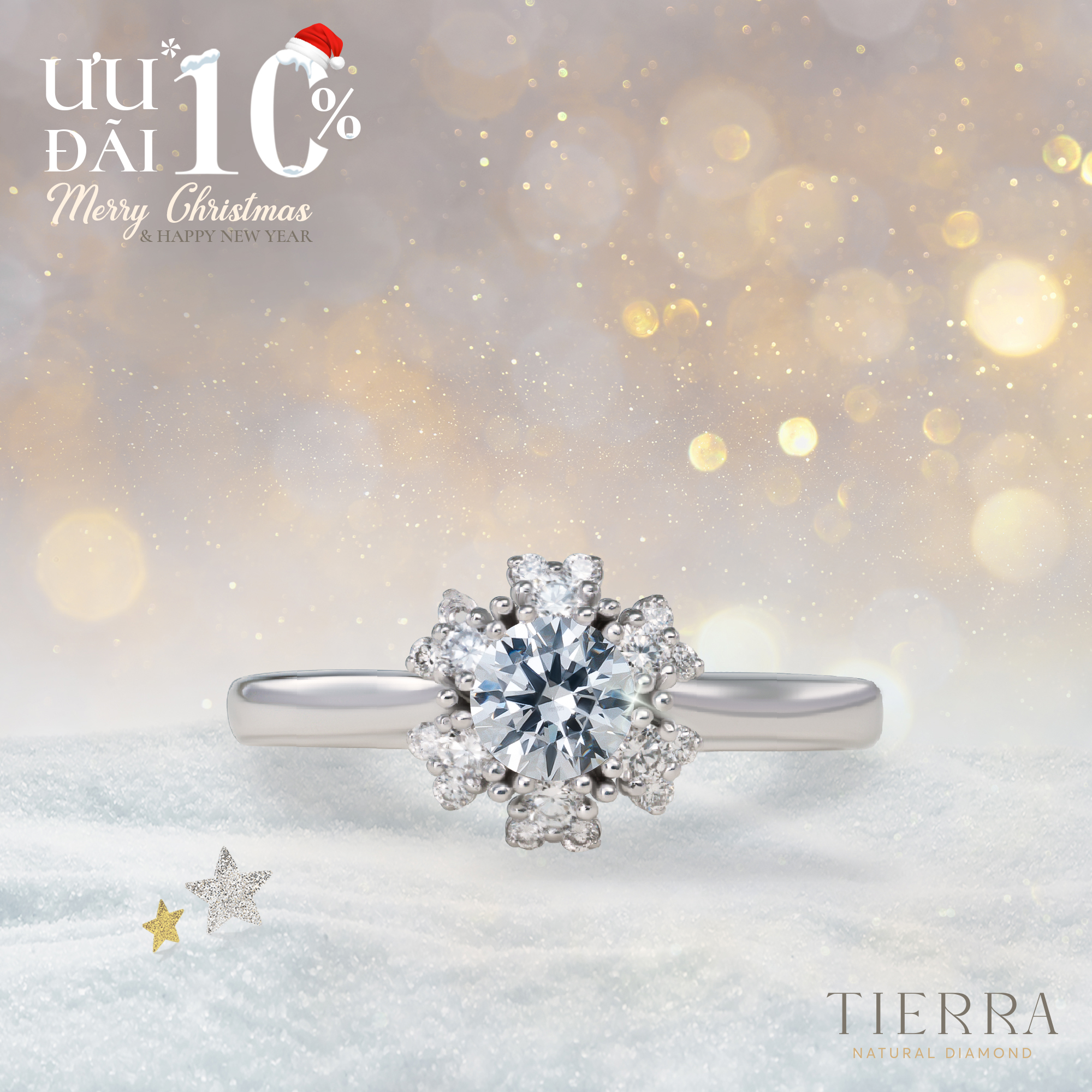 10% off all jewelry cases - Merry Christmas & Happy New year - 3